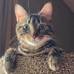 Meet your Posher, Gail